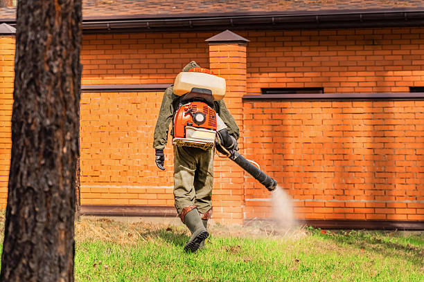 Top rated local Bed Bug Control specialists in Greenback, TN